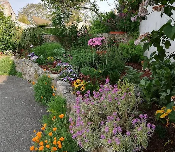 Oda ve Kahvaltı D'hotes Escale A